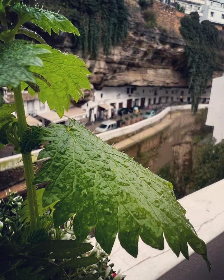 Casa Bajo La Roca Villa Setenil De Las Bodegas Exterior foto